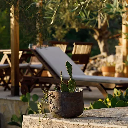 Robinson House Nicolina * Hvar Town